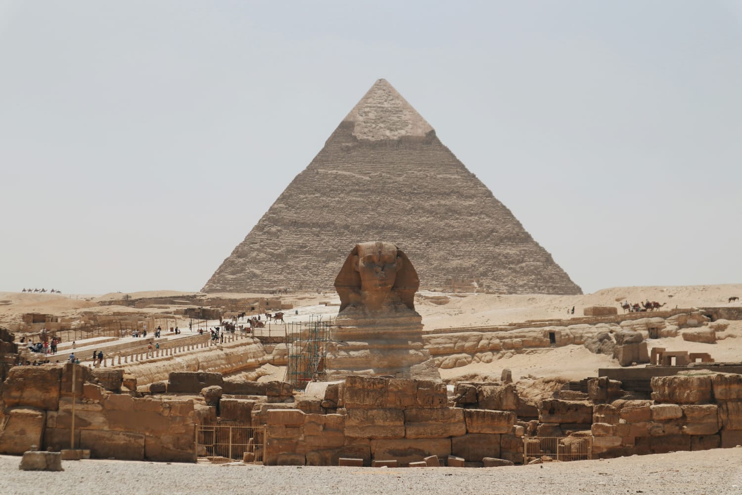 Cairo Pyramids & Grand Egyptian Museum Discovery image 2